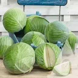 Капуста белокочанная Садиба Профессор F1, 20 шт.