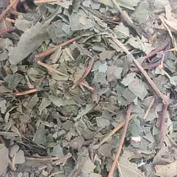 100 г ольха черная лист сушеный - свежий урожай