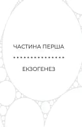 Сон у морі зірок - Крістофер Паоліні - мініатюра 7