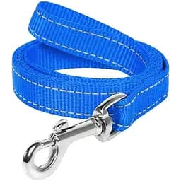 Повідець для собак Dog Extremе, нейлоновий, 200х2 см, блакитний