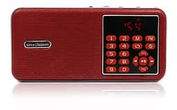 Потужний цифровий портативний FM радіоприймач USB/MP3 N2020 - мініатюра 6