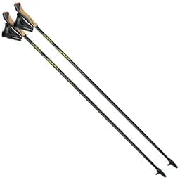 Палки для скандинавской ходьбы Gabel FX-75 Snake Carbon 125 Dual Spike (7009351011250) фиксированной длины