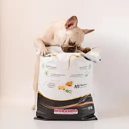Сухий корм для собак малих порід Miocane Mini з натуральною куркою 10 кг - мініатюра 4