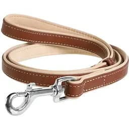 Нашийник для собак Waudog Classic шкіряний M, Ш 25 мм, Дов 38-49 см
