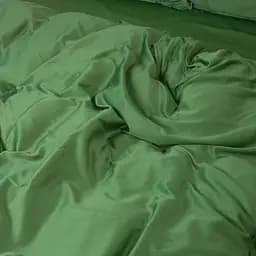 Простирадло MirSon Штучний шовк 23-0010 Salad, 220х180 см, 1 шт.