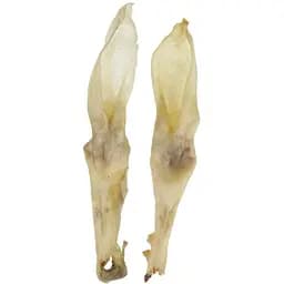 Ласощі для собак TatraPet кроляче вухо сушене біле 20 г 20 см