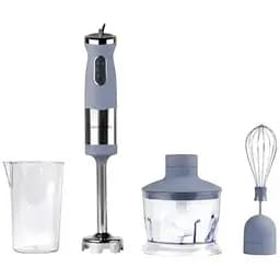 Блендер RAF R.361 4в1 набір міксер капучинатор подрібнювач вінчик 1000 Вт сірий