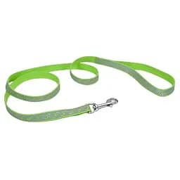 Coastal Lazer Brite Reflective Leash лазер брайт светоотражаючий повідок для собак 1.6см х 1.2м (SP46434_LGM04)