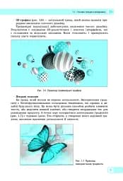 Інформатика. 10-11 клас. Вебтехнології. Вибірковий модуль. Рівень стандарту - мініатюра 5