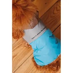 Комбінезон Pet Fashion Сharlie М для собак - мініатюра 8