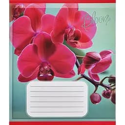 Тетрадь ученическая Орхидеи 018-530261K-5 в клетку, 18 листов