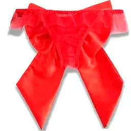 Трусики чарівні з елегантним бантиком S/M Червоний K0698-1