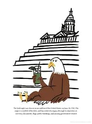 The United States of Cocktails. Recipes, Tales, and Traditions from All 50 States (and the District of Columbia) - мініатюра 8