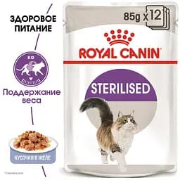 Вологий корм для дорослих стерилізованих котів Royal Canin Sterilised in Jelly шматочки в желе 85 г - мініатюра 2