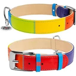 Ошейник для собак Waudog Glamour кожаный с QR паспортом, Радуга, S, Ш 20 мм, Дл 30-39 см