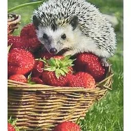 Алмазна мозаїка Їжачок та полуниця HEG86093 30х40 см