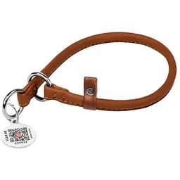 Нашийник-зашморг ривковий для собак Waudog Soft шкіряний з QR паспортом, круглий, XS, Д 8 мм, Дов 40 см (4820152566997)