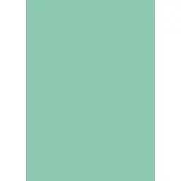Папір для дизайну Folia Tintedpaper А4 (21x29.7см) №25 зелено-м'ятний 130г/м2 без текстури