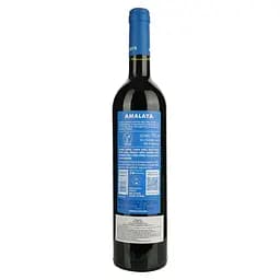 Вино Amalaya Malbec червоне сухе 0.75 л - мініатюра 2
