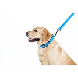 Повідець для собак Waudog Waterproof водостійкий S, блакитний - мініатюра 4