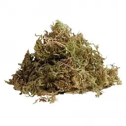 Живий мох Komodo Habitat Moss 1,5 л для тераріуму, амфібій та рептилій (83003) - мініатюра 2