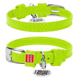 Нашийник для собак шкіряний Waudog Glamour з QR-паспортом без прикрас XXS Ш 9 мм Д 19-25 см салатовий