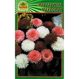 Насіння Маргаритка махрова 100 шт. (Насіння країни)