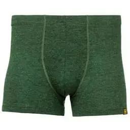 Термотруси Turbat Retezat Boxer Mns Combu Green L (1054-012.002.0685)