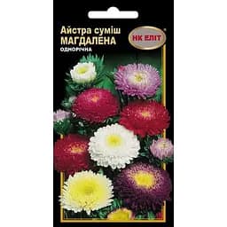 Семена НК Еліт Астра смесь Магдалена 0.3 г (74798)
