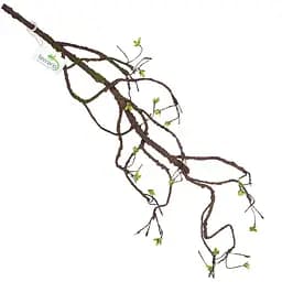 Штучна рослина, гілка з пагонами Terrario 100см (345) - мініатюра 5