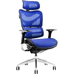 Офисное кресло GT Racer X-702 (W-65-1), синее (X-702 Blue (W-65-1))