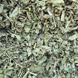 100 г норичник ранник трава сушеная измельченная- свежий урожай