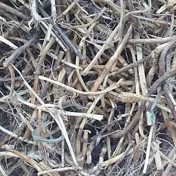 100 г пырей ползучий корень сушеный - свежий урожай