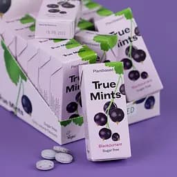 Цукерки True Mints м'ятні зі смаком чорної смородини 13 г - мініатюра 2
