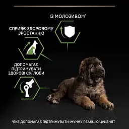 Сухий корм для цуценят великих порід Purina Pro Plan Large Robust Puppy, з куркою, 12 кг (12375805) - мініатюра 7