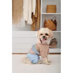 Дощовик Pet Fashion Tina для дівчаток розмір M бежевий/блакитний - мініатюра 6