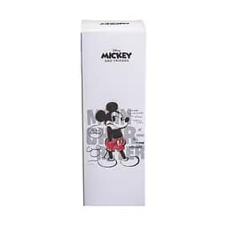 Термос дитячий Disney 500 мл з кришкою на защіпці, чорний Yiwu HP-14-3B - мініатюра 8