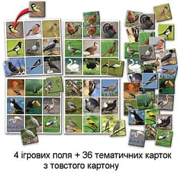 Дитяча настільна гра супер ЛОТО "Птахи" 81930 картки птахів - 36 шт - мініатюра 3