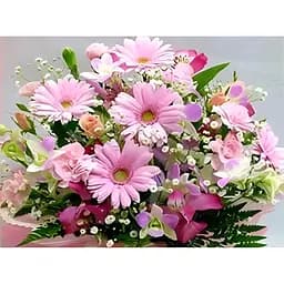 Алмазна мозаїка Чарівний діамант Гербери на підрамнику 40x50 см (1880820922)