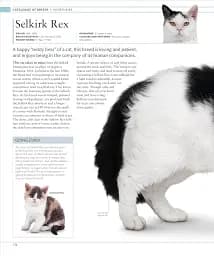 The Cat Encyclopedia - мініатюра 14