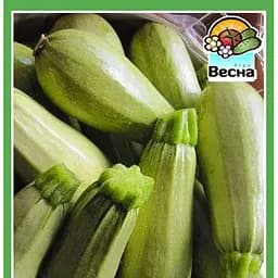 Насіння Весна Кабачок Грибовський 37 2 г (10158)