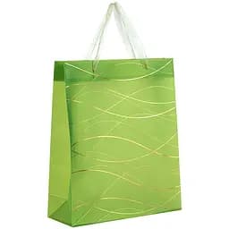 Пакет подарунковий Axent Waves-3 пластиковий 32х27 см (8504-31-A)