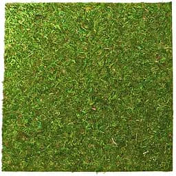 Фон з натурального моху Repti-Zoo Natural Moss Back & Bottom 45x45см 2 шт (NCM4545) для тераріуму - мініатюра 1