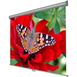 Екран настінний ручний Walfix 84" SNM-2 (170*127, 4:3)