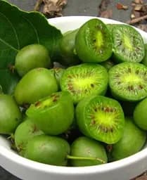 Саджанець Agro-Market Актинідія Сентябрська (міні-ківі, морозостійкий сорт, пізній термін дозрівання) (46128) 1 шт. в упаковці - мініатюра 4