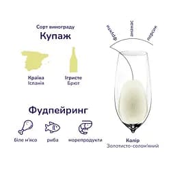 Набір вино ігристе Jaume Serra Cava Brut Nature, біле брют натюр 0.75 л + вино ігристе Jaume Serra Cava Brut Nature, біле брют натюр 0.2 л  - мініатюра 6