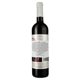 Вино Bodegas Borsao Bole, червоне, сухе, 0,75 л - мініатюра 2