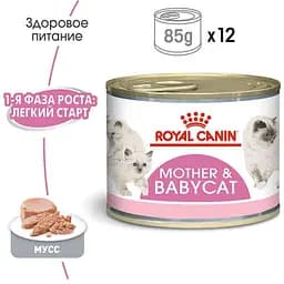 Набір вологого корму для кошенят до 4 місяців Royal Canin Babycat Instinctive 2.34 кг (12 шт. х 195 г) - мініатюра 5