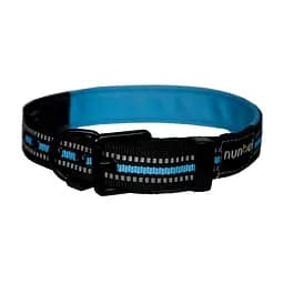 Нашийник для собак Nunbell двоколірний в асортименті 2.5 см