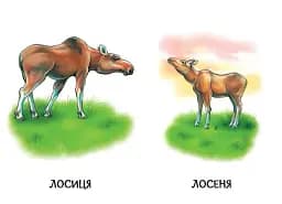 22 картинки. Мами і дитинчата - - мініатюра 4